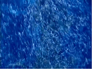 同樣是演美人魚，鍾麗緹董璇驚豔，楊冪辣眼，甘婷婷像&OpenCurlyDoubleQuote;水鬼&rdquo;