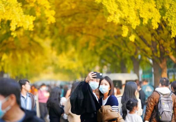 看！這裡美成了童話