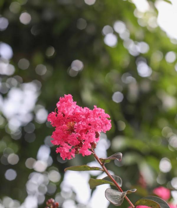 周邊遊｜住進小木屋泡私湯，乘網紅小火車玩彩虹滑道