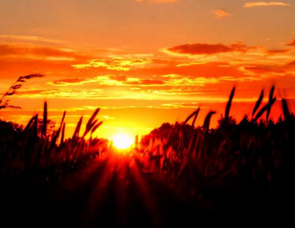 12月 | 善待時光，願你與溫暖不期而遇