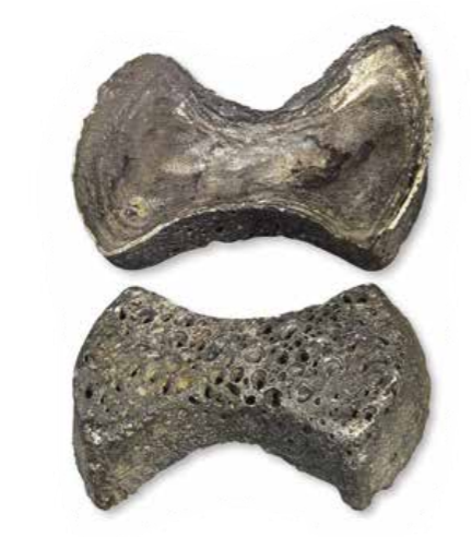 京華物語丨從什剎海到白雲觀，北京城的這些傳說你聽過嗎？