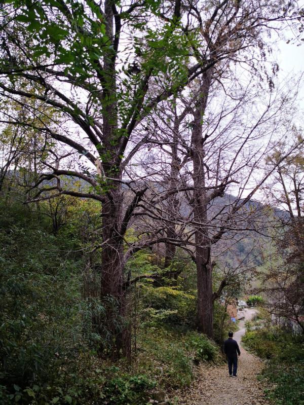 地球上沒被遺忘的角落 地球上沒被遺忘的角落