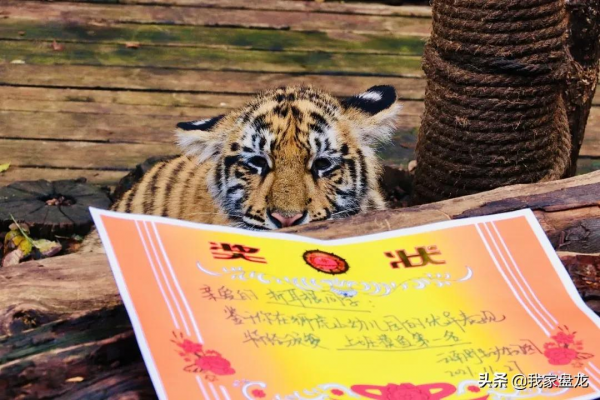 這個冬天，我們一起畢業