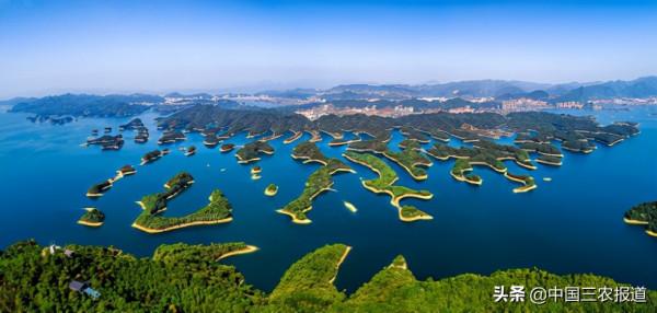 頂級食材魚子醬產自中國？這些你以為的“外國”生鮮 其實大多產自中國