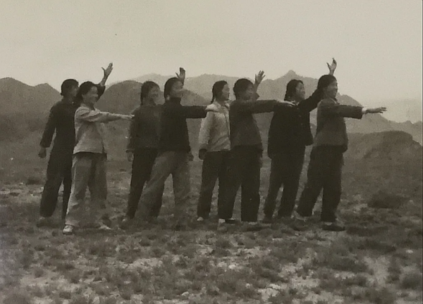 難忘賀蘭山軍馬場女青年牧馬班的如歌歲月