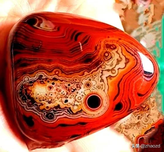 這樣的奇石你見過嗎？