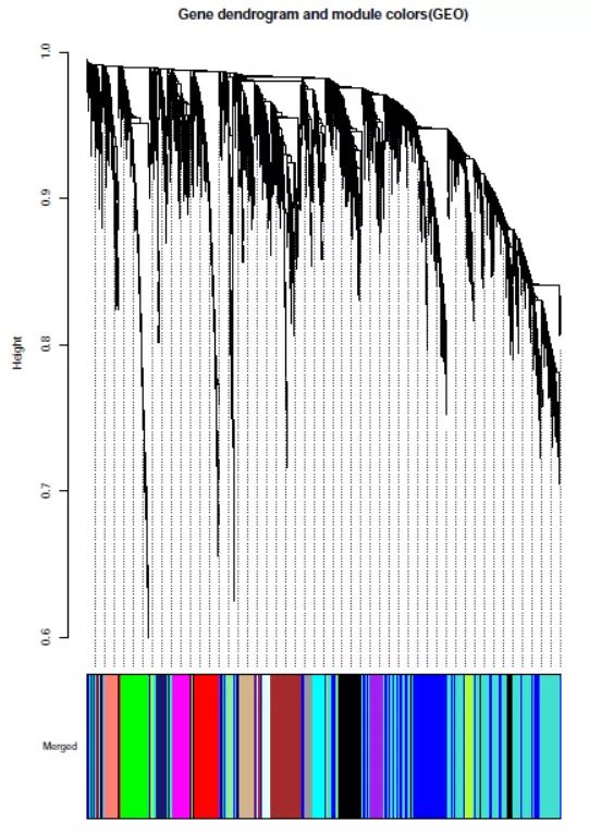 其實,非腫瘤純生信可以這樣進行創新發表 其實,非腫瘤純生信可以這樣進行創新發表