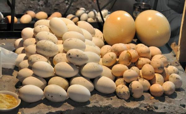 新疆這家店鋪，把4種蛋混在一起烤，50元一份，食客跨2000裡去吃