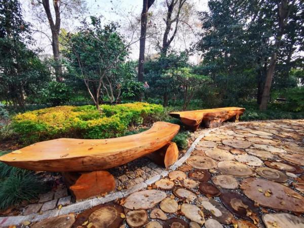 期待!中山公園的新景點“玉蘭芬香”即將亮相 期待!中山公園的新景點“玉蘭芬香”即將亮相