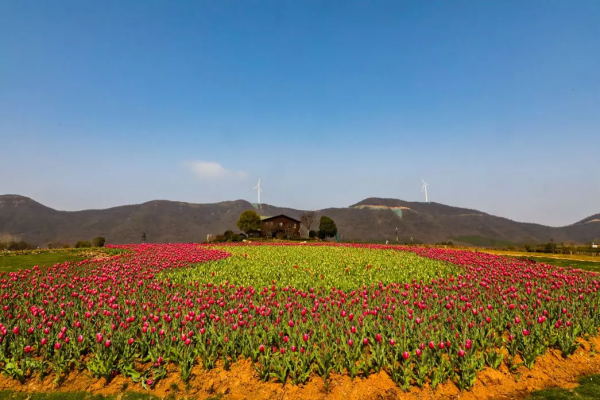 菜吧:從無人問津的村,到年接待遊客800萬的網紅村,它做對什麼 菜吧:從無人問津的村,到年接待遊客800萬的網紅村,它做對什麼