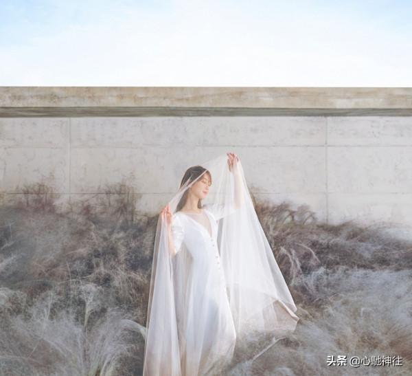 楊紫一襲粉色露肩連衣裙，明豔性感，女人味十足