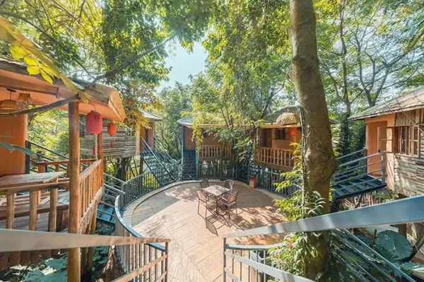 趣旗自駕線路分享：歡聚小年，共剪窗花，泡樹上溫泉，住樹上木屋