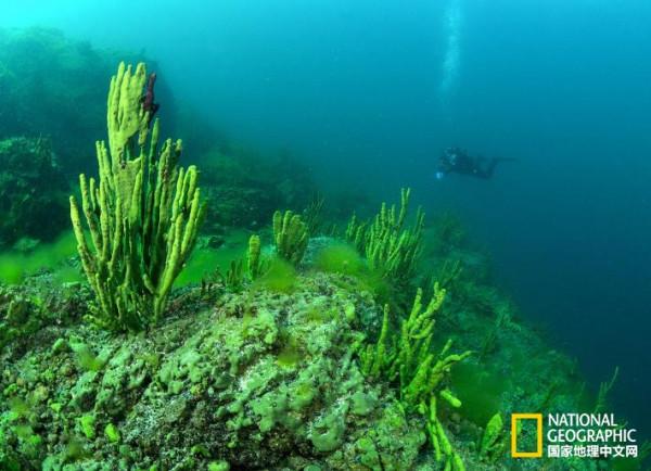 貝加爾湖深1637米,世界第一深湖,都夠深了,為何每年還在加深? 貝加爾湖深1637米,世界第一深湖,都夠深了,為何每年還在加深?