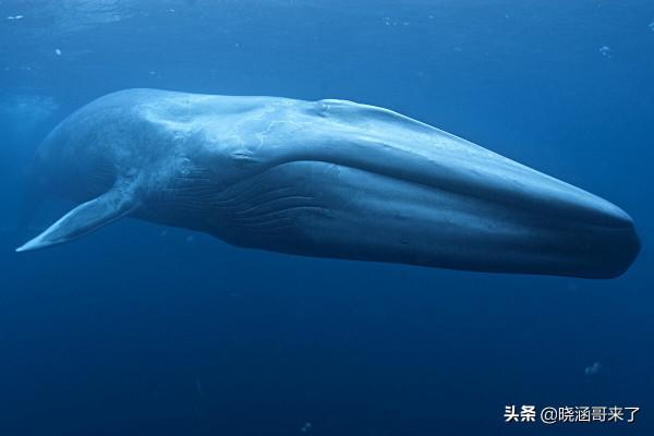 人類是否可以永生？實現永生的幾種方式