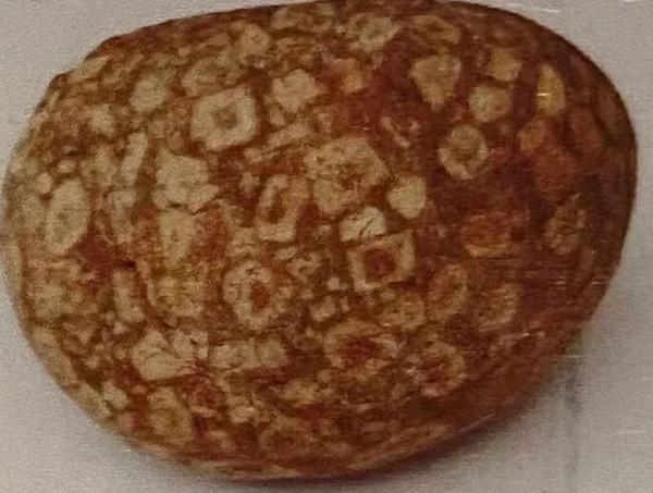 各類隕石及它的化學元素分析表