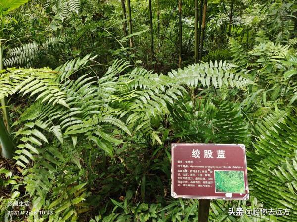 旅居D5-魅力十足百魔洞