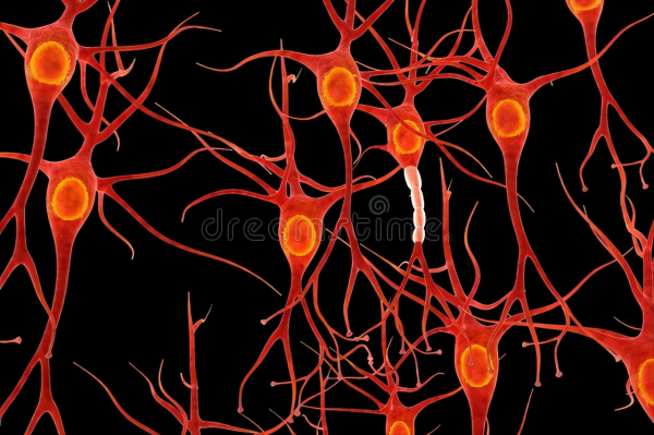 末梢神經炎不僅會手腳麻木，這些症狀也在提醒你生病了