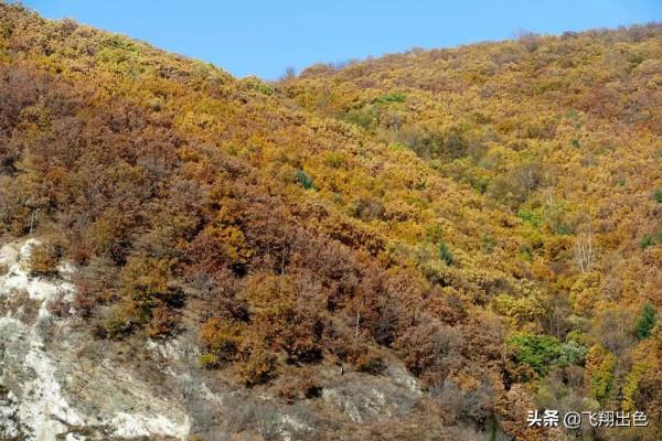 北國第4站丨我用一堆相片告訴你，綏芬河的深秋是怎樣的