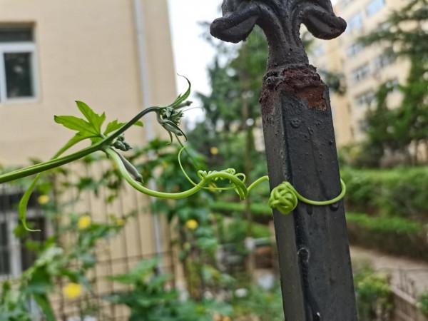 “我感覺水流從我身上輕輕地滑過!” “我感覺水流從我身上輕輕地滑過!”