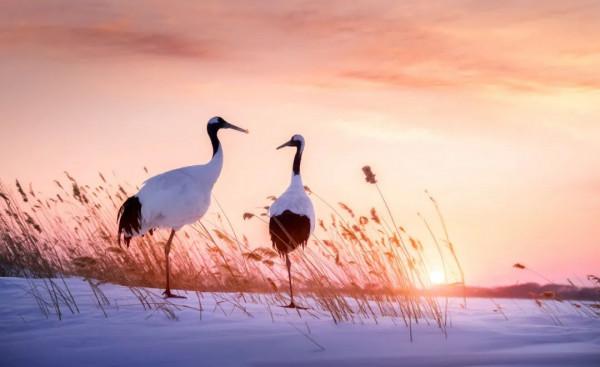 今日大雪｜願你用心過冬，好日常在