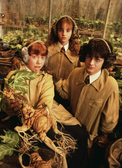 《哈利波特》感情篇:赫敏為什麼會選擇羅恩,而不是哈利? 《哈利波特》感情篇:赫敏為什麼會選擇羅恩,而不是哈利?