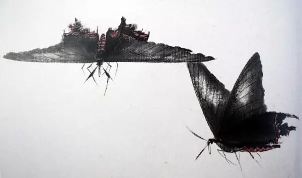 齊白石筆下的飛蟲,精細之極 齊白石筆下的飛蟲,精細之極