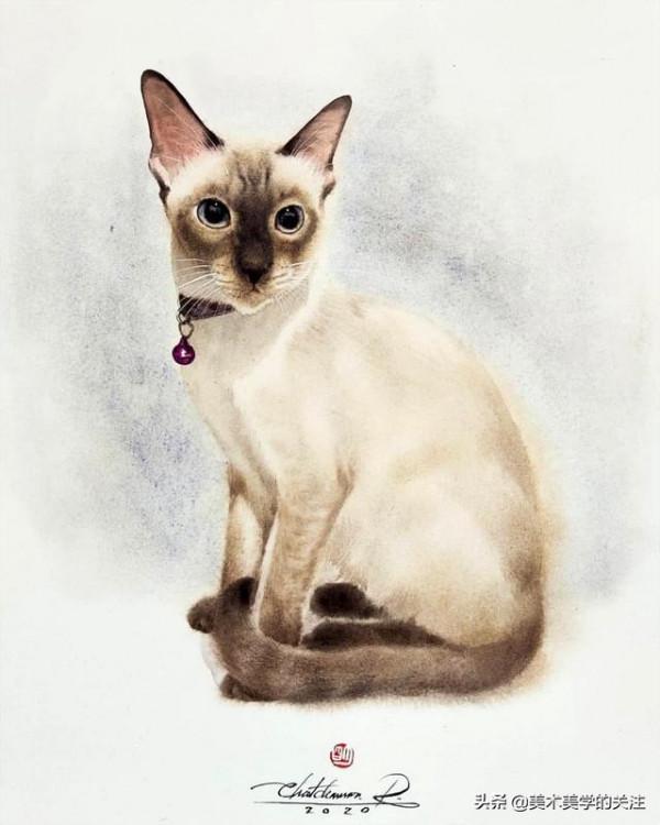 顏料抵擋不住它的美態,流浪改變不了它的命運——水彩貓咪的世界 顏料抵擋不住它的美態,流浪改變不了它的命運——水彩貓咪的世界