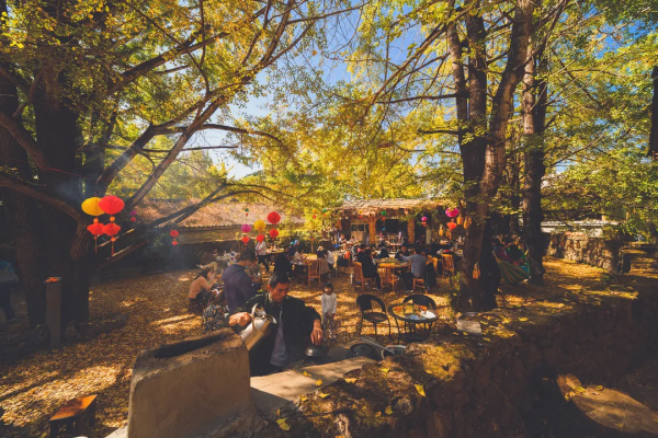 【週末遊】銀杏小鎮，體驗一天慢生活，與手機“斷舍離”