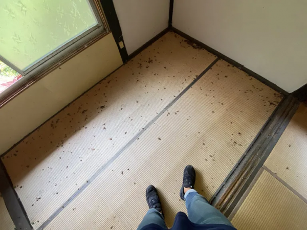 日本大哥花幾萬塊在荒野買了棟房子，居然還附贈小橋河流和瀑布？