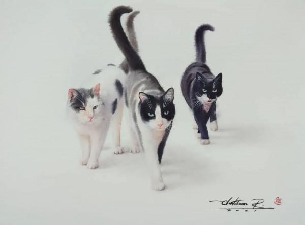 泰國貓王和他的水彩貓帝國