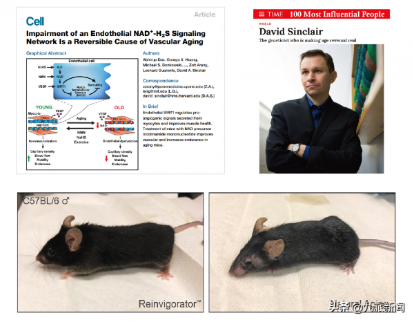 首富貝索斯2&period;7億砸衰老幹預，人體細胞80歲逆轉至40歲，百歲時代將至