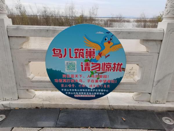 紅嘴鷗來了!白龜湖管理部門提醒:讓我們共同文明賞鳥 紅嘴鷗來了!白龜湖管理部門提醒:讓我們共同文明賞鳥