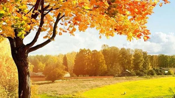 子夜薦讀 | 李清照筆下的秋天，美到極致！