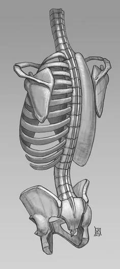 門外看太極：彈簧力