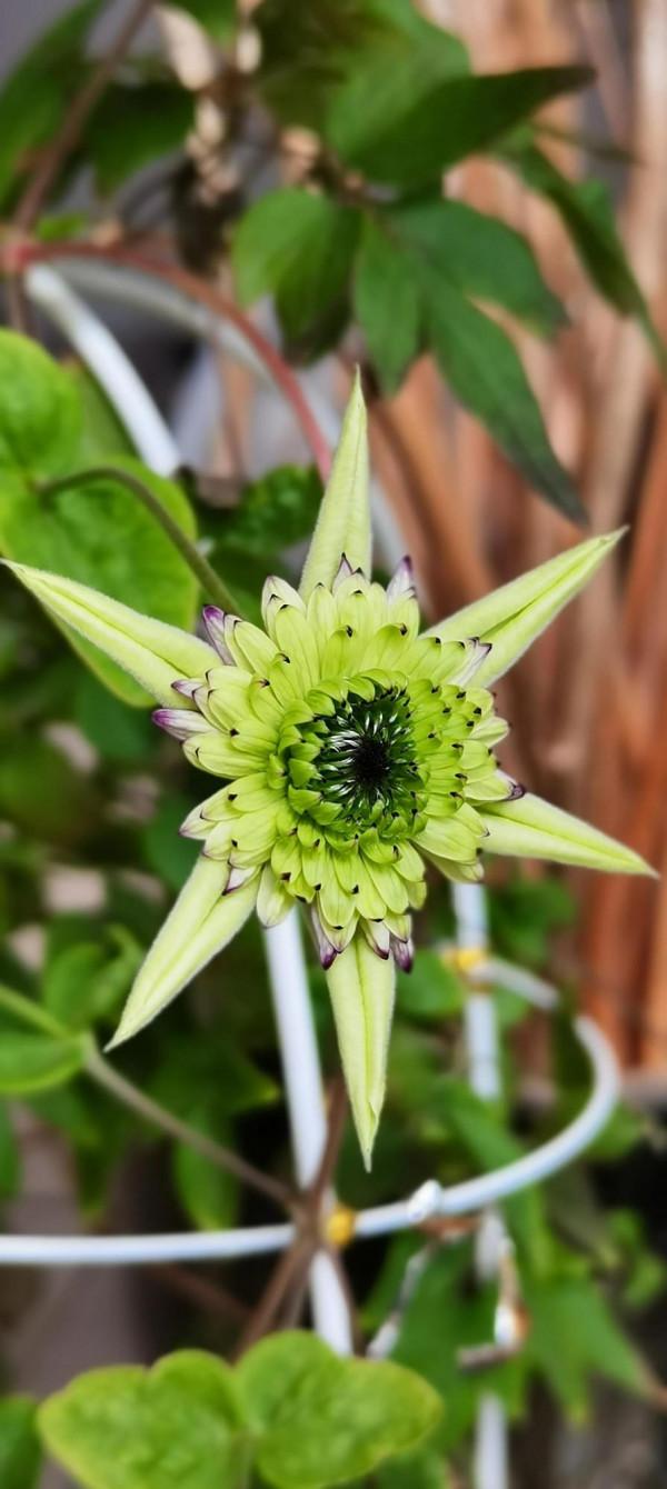 一個轉身，秋天成了風景，冬天成了期待，好好生活，慢慢相遇