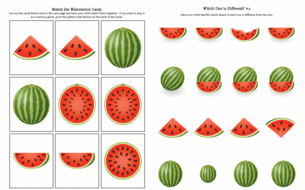 只需藉助西瓜，就可以在家進行數感啟蒙訓練