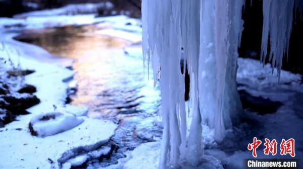 青海互助霧凇冰瀑連綿數里 玉樹瓊枝似“白色王國”