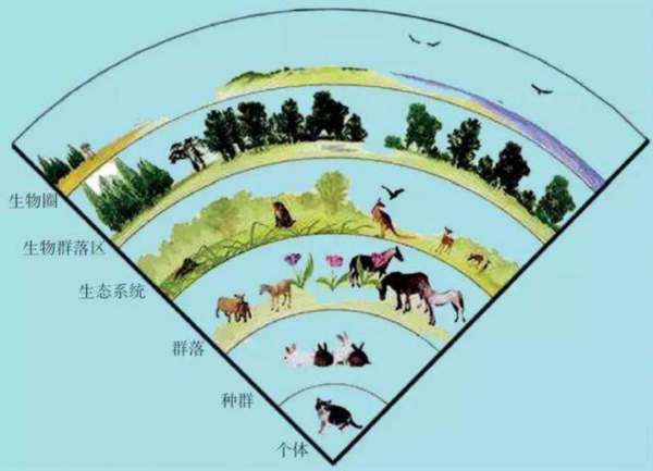 4男4女曾進行封閉空間實驗,結果發現,人類被一直“困”在地球? 4男4女曾進行封閉空間實驗,結果發現,人類被一直“困”在地球?