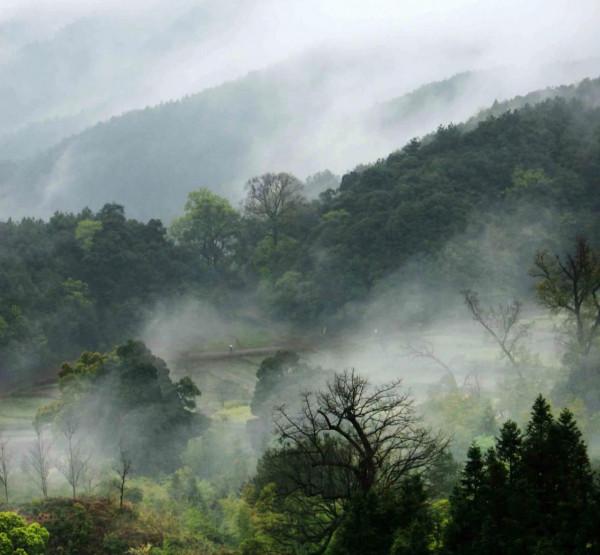 雲南冬日多神奇!雲錦霧瀾似畫卷 雲南冬日多神奇!雲錦霧瀾似畫卷