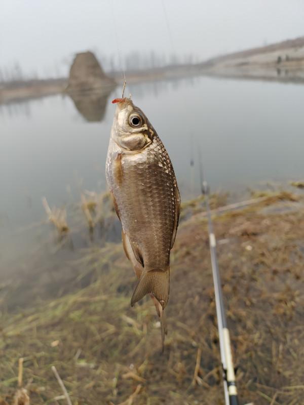 冬季釣魚堅持用小鉤細線軟竿，還要配合抄網