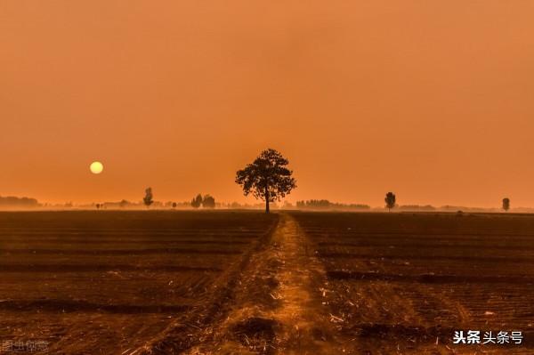 河南的東北門戶——濮陽市