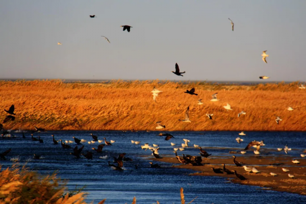 大湖重生，戈壁觀海，大西北正重回漢唐盛世風貌
