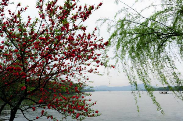 淺談趙麗華老師的代表作《一個人來到田納西》裡餡餅的解構主義 淺談趙麗華老師的代表作《一個人來到田納西》裡餡餅的解構主義