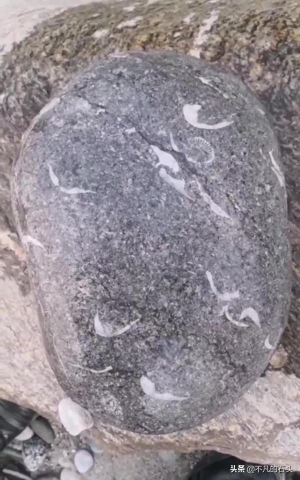 雲南徐先生凌晨四點出發撿石，發現了一塊奇石像《山水畫》