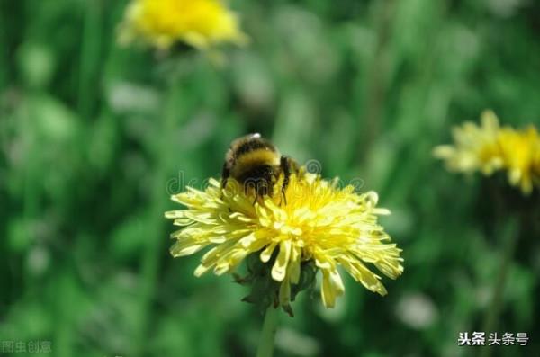 你淒涼閉眼的那一刻，可曾想過年輕時拋下的妻子兒女