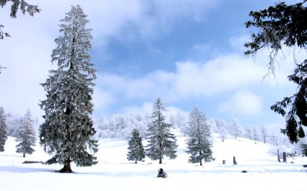 冬季養生,這幾點中老年人多注意,或能助你在健康路上少走彎路 冬季養生,這幾點中老年人多注意,或能助你在健康路上少走彎路