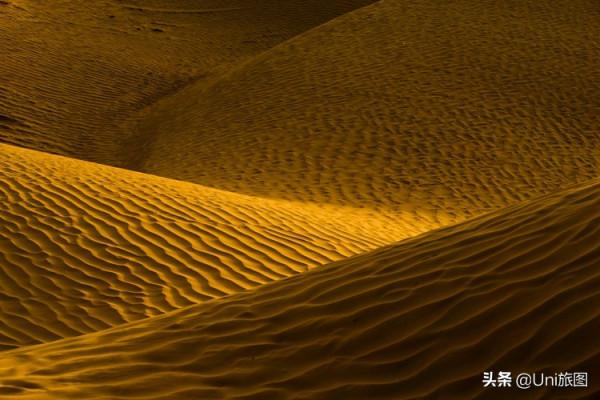 額濟納這些最美秋色,今年看不到了,來年你要去嗎? 額濟納這些最美秋色,今年看不到了,來年你要去嗎?