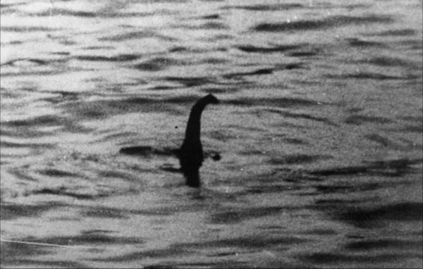 「中國最新水怪事件有哪些」中國近期水怪事件有哪些新的進展