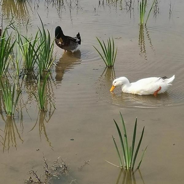 淄川南部森林公園