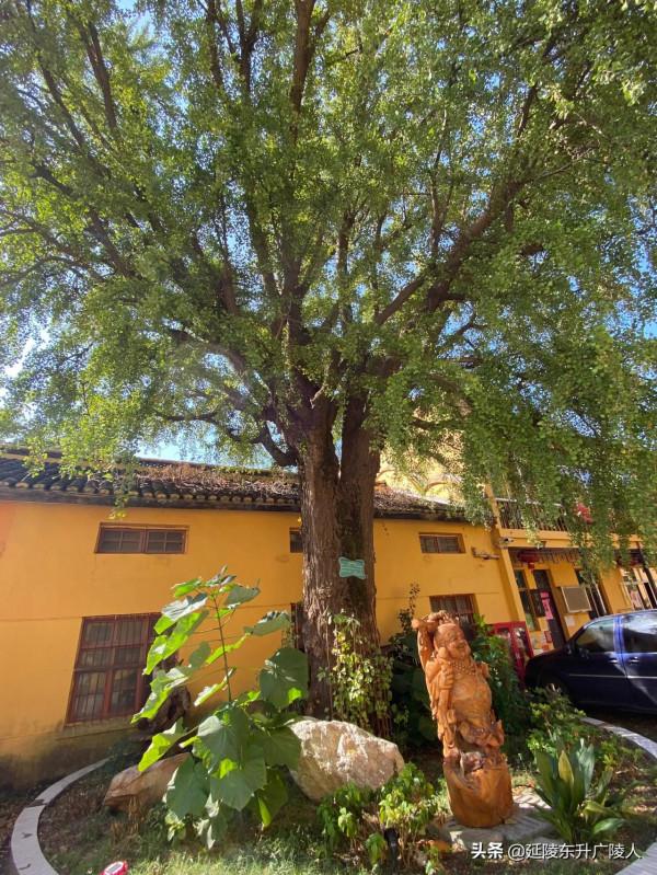 江蘇江陰市蒼山古寺 一代帝王埋身地 千年古寺伴皇陵 江南佛國 江蘇江陰市蒼山古寺 一代帝王埋身地 千年古寺伴皇陵 江南佛國